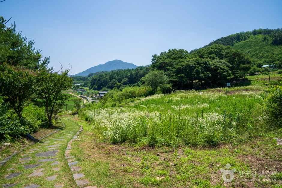 아산 맹씨 행단 관광사진