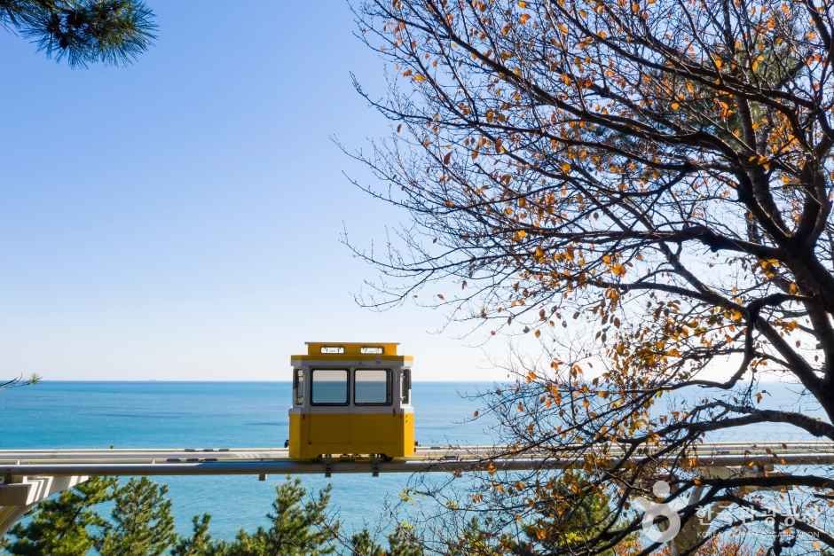 해운대블루라인파크 관광사진