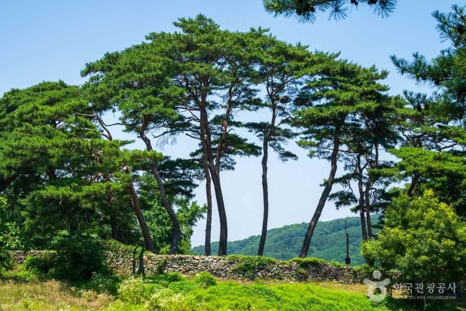 아산 맹씨 행단 관광사진