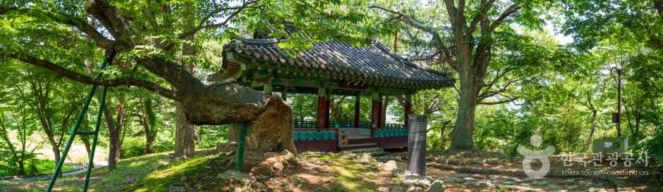 아산 맹씨 행단 관광사진