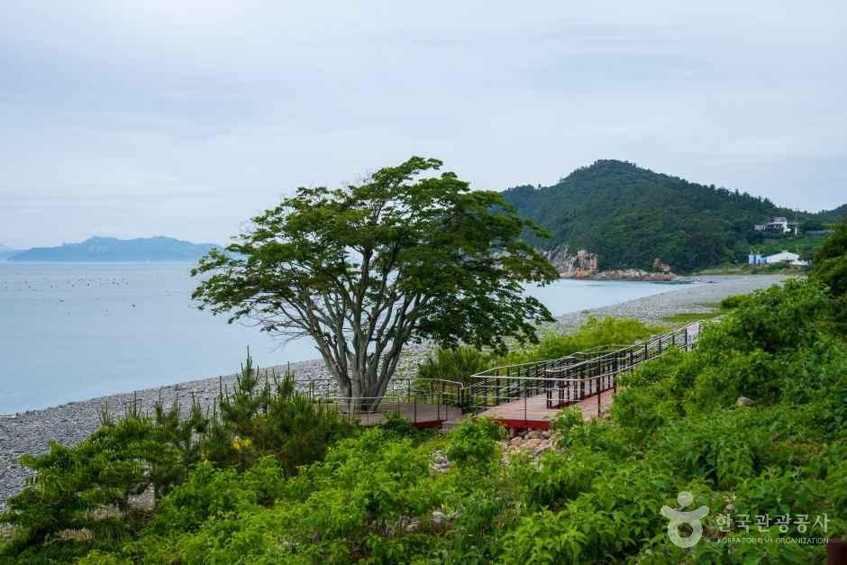 완도 정도리 구계등