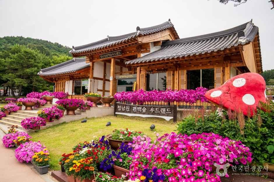 정남진 편백숲 우드랜드