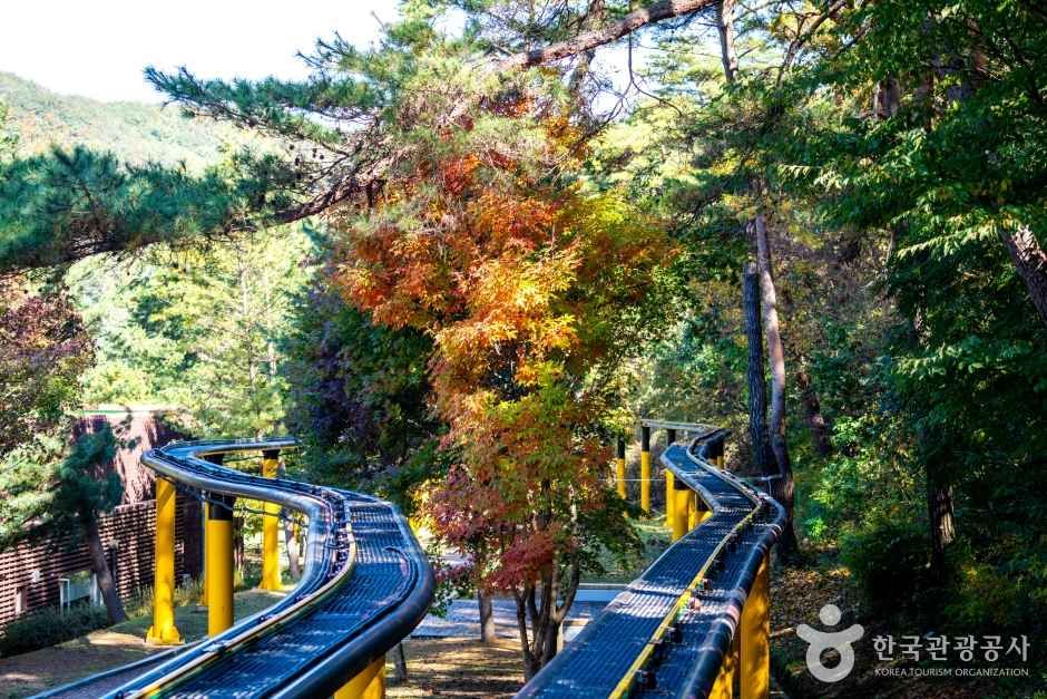 속리산테마파크 관광사진