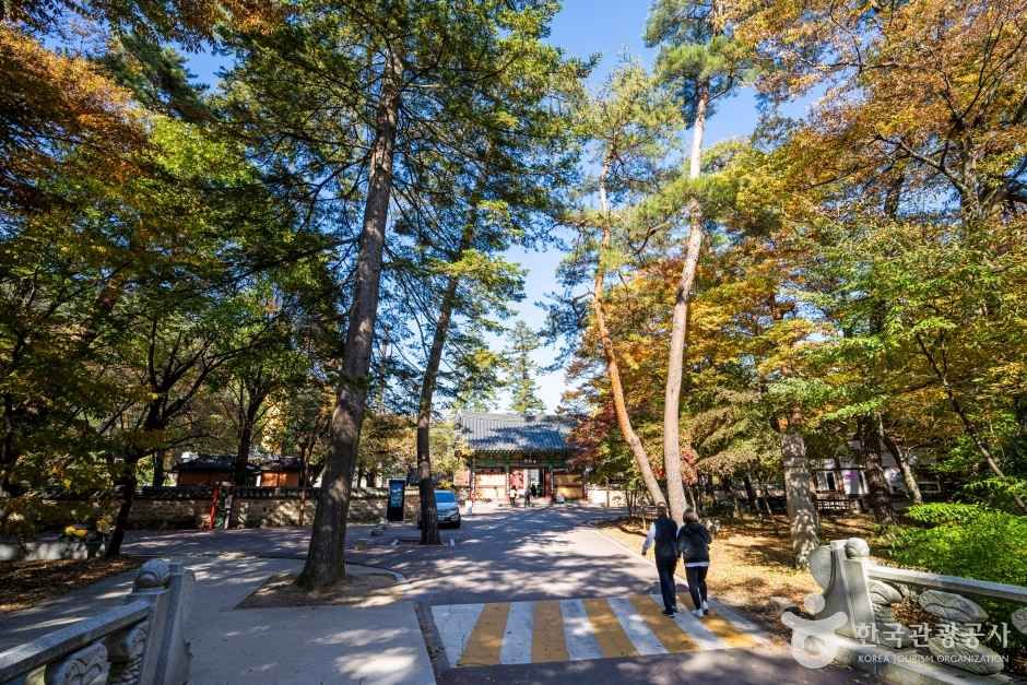 보은 법주사 관광사진