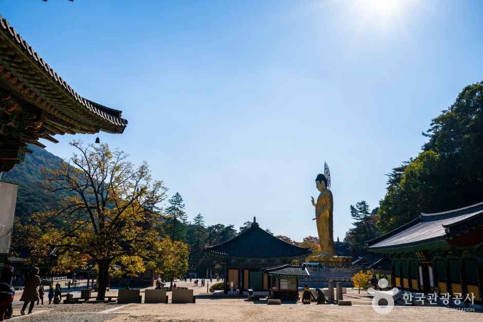 보은 법주사 관광사진