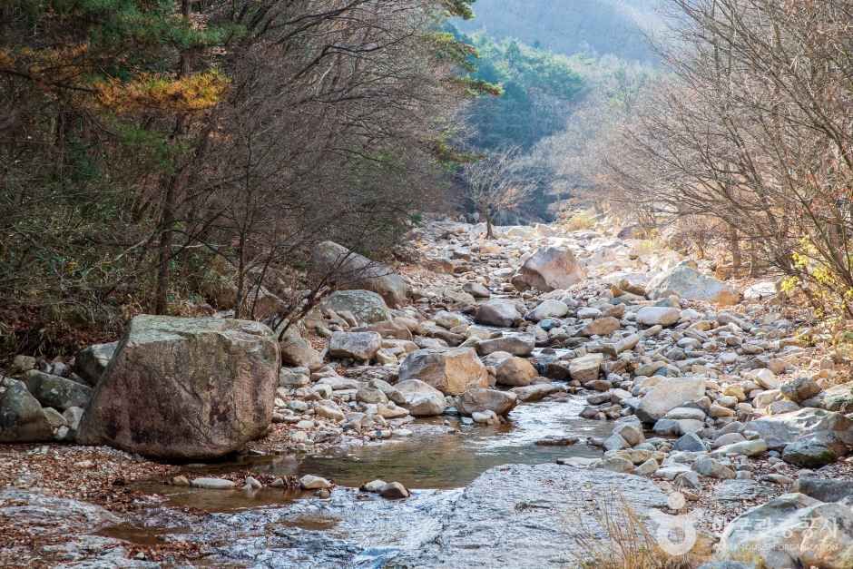 울산수목원