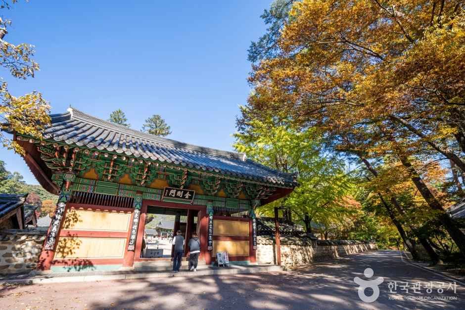 보은 법주사 관광사진