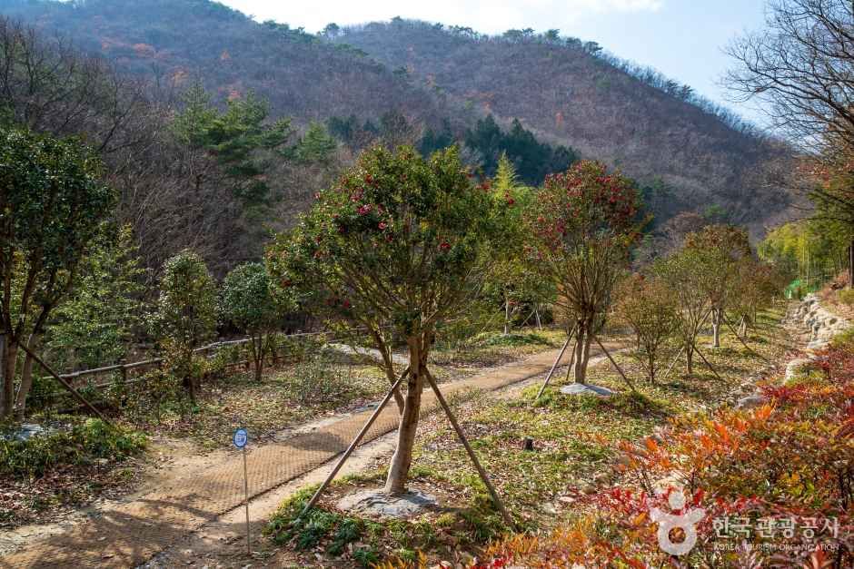울산수목원