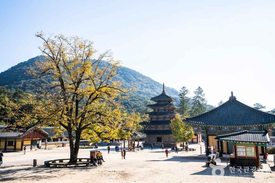 보은 법주사 관광사진