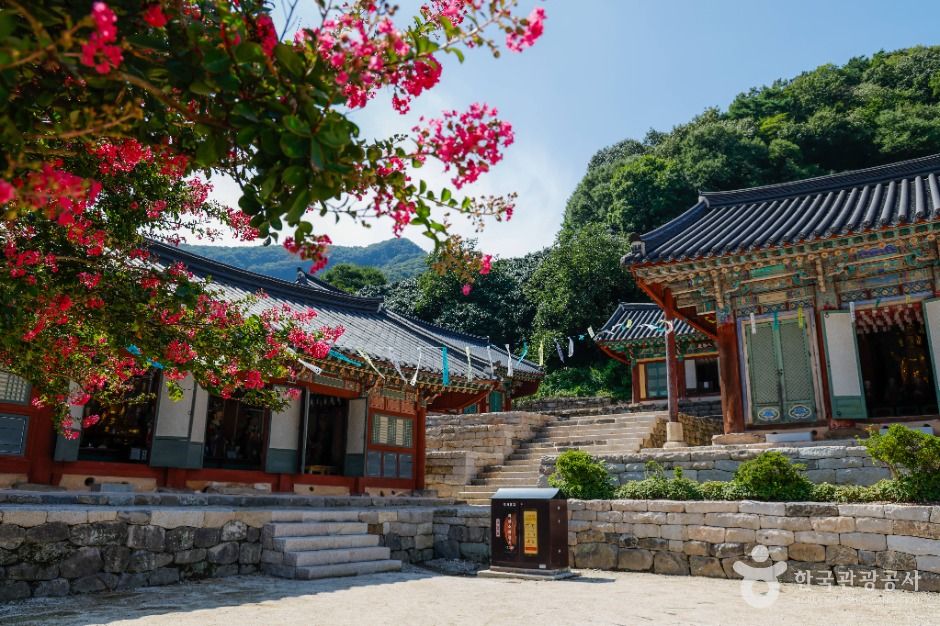 선운사(고창)