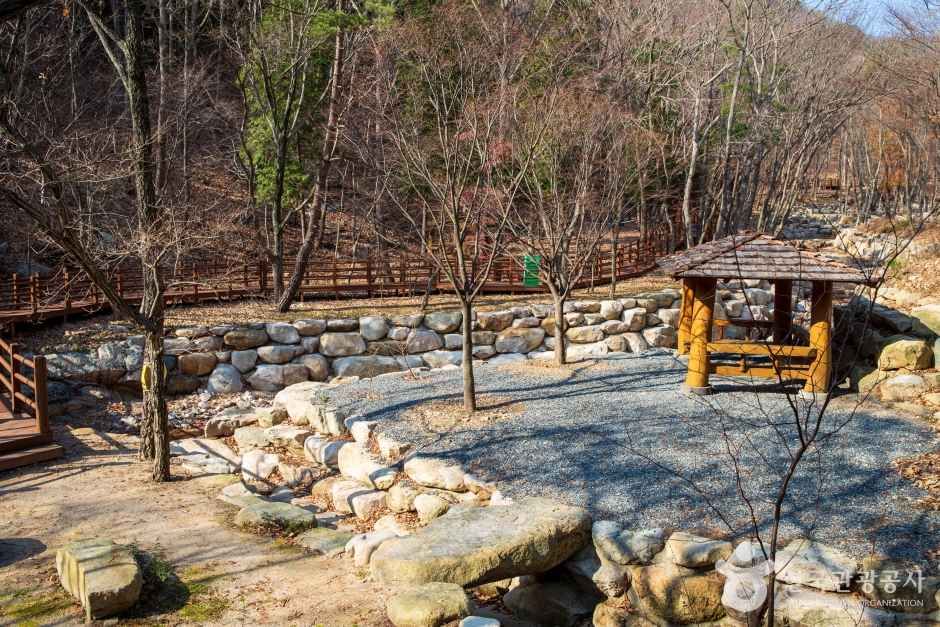 울산수목원