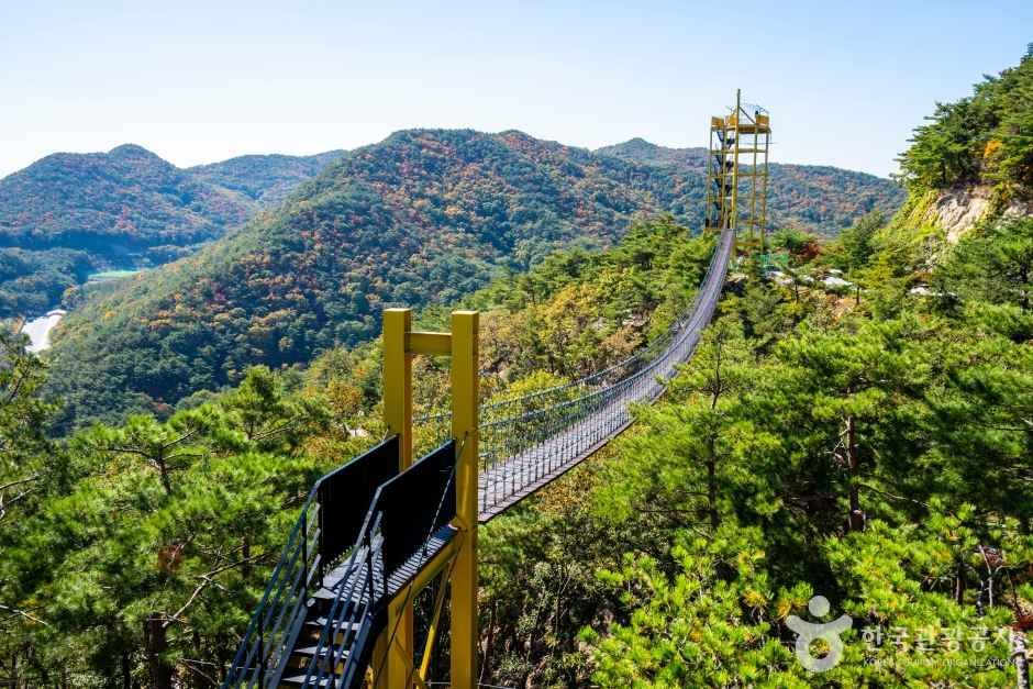 속리산테마파크 관광사진