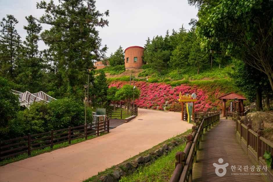 정남진 편백숲 우드랜드