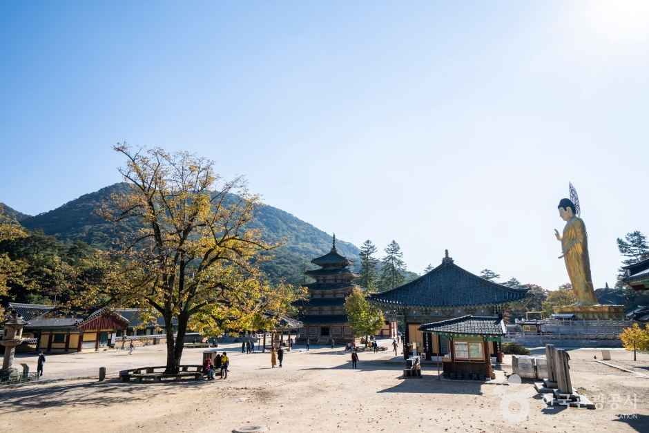 보은 법주사 관광사진