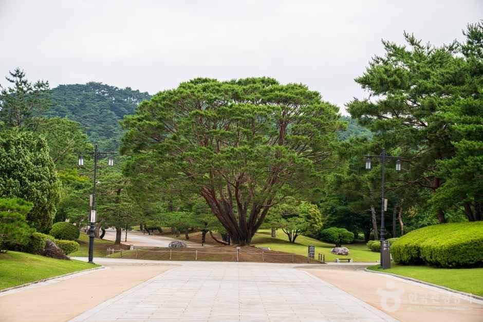 현충사 관광사진