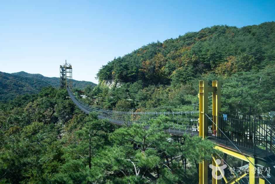 속리산테마파크 관광사진