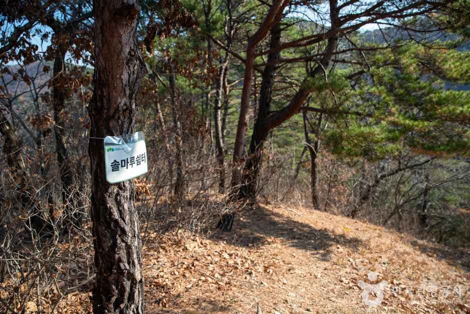 울산수목원