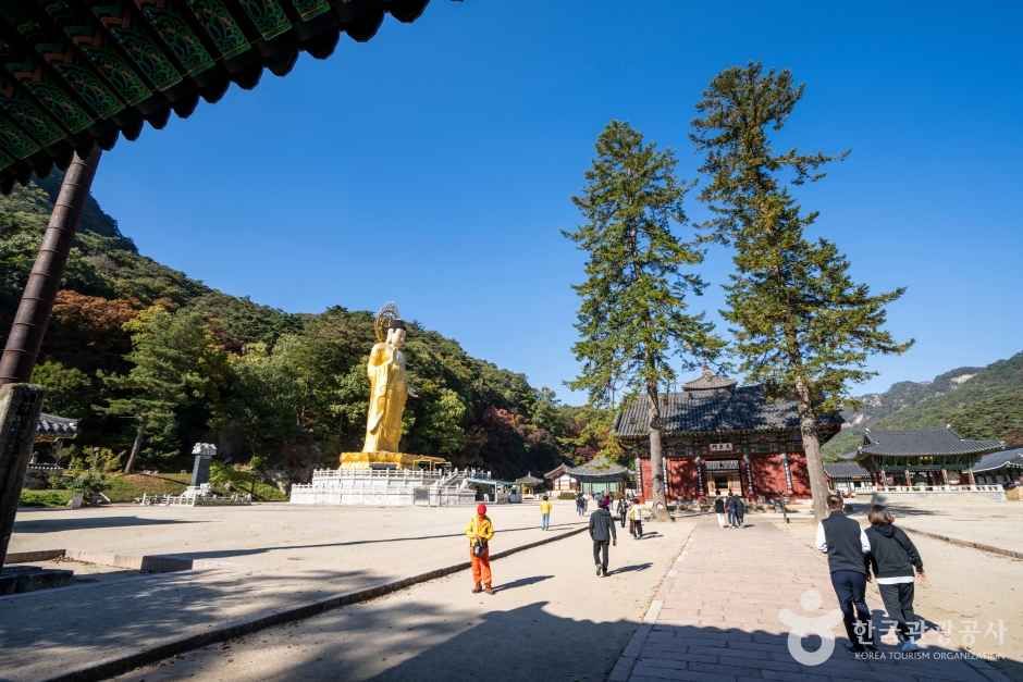보은 법주사 관광사진