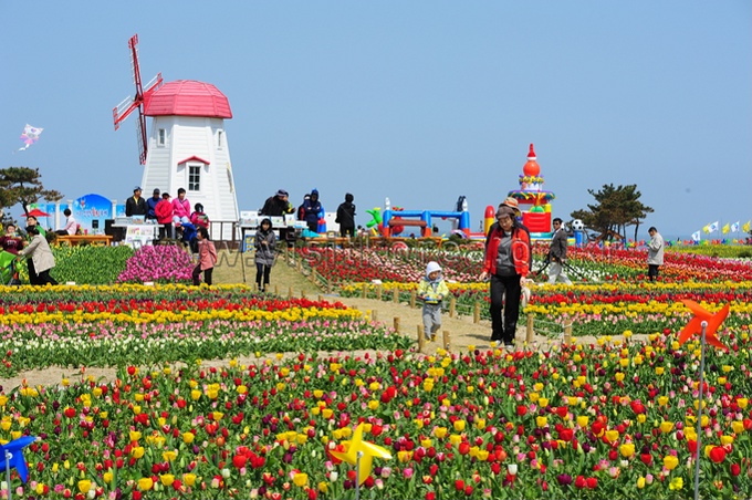 임자도 representative photograph