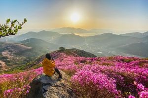 영취산의 봄