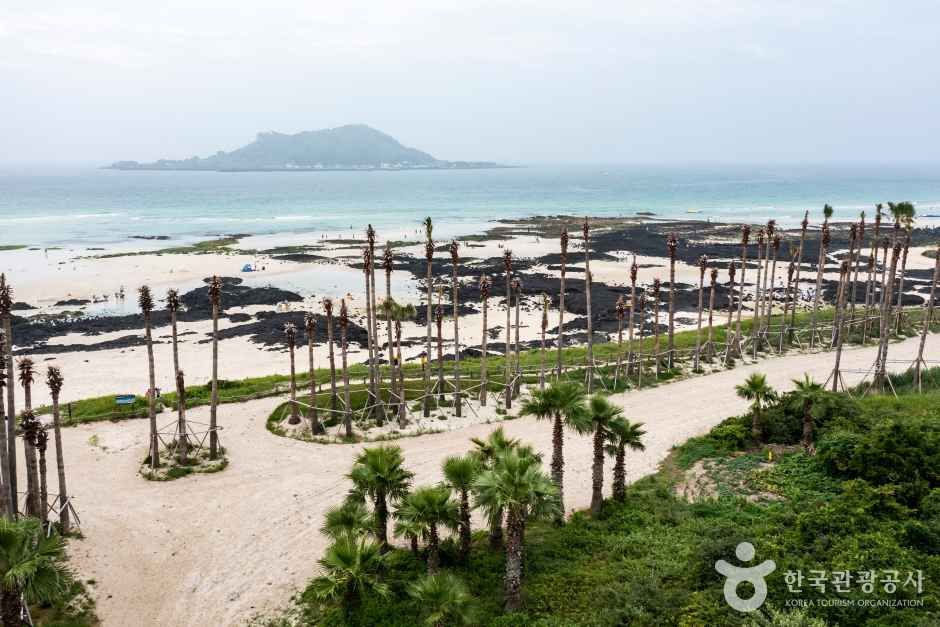 협재해수욕장 관광사진