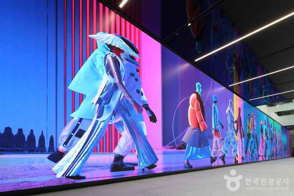 하이커 그라운드 관광사진