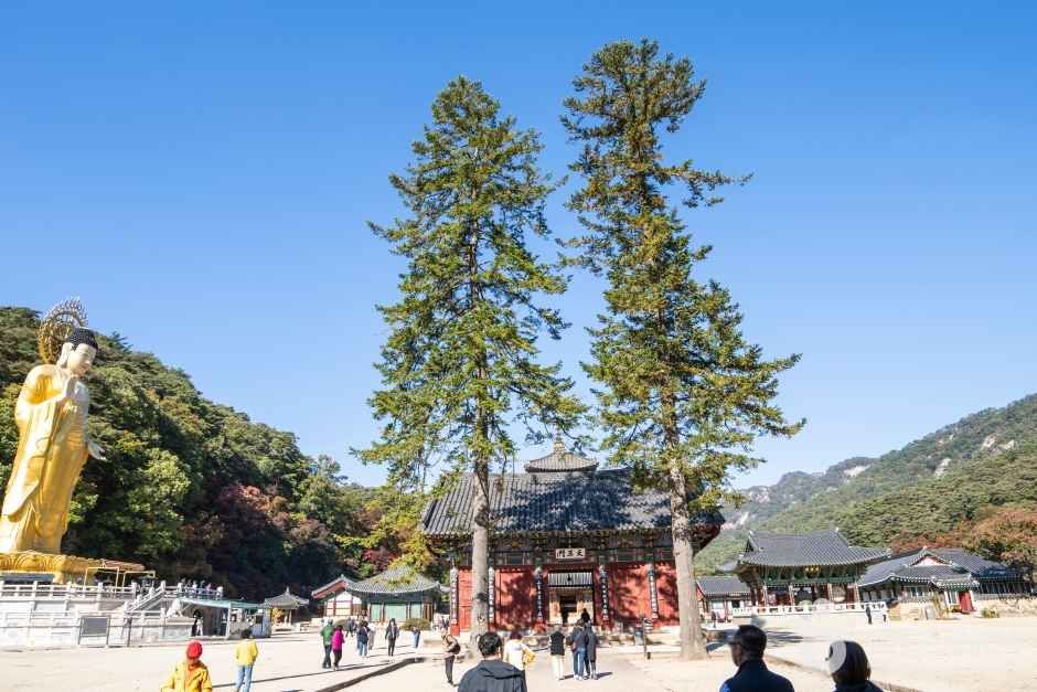 보은 법주사 관광사진