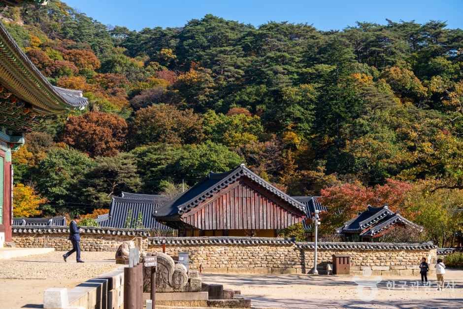보은 법주사 관광사진