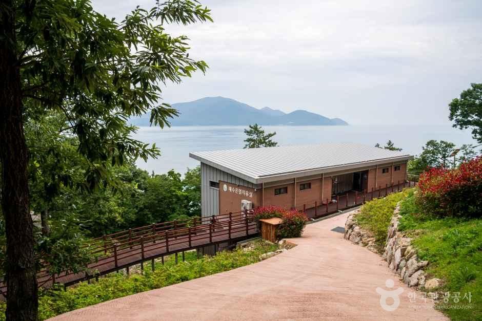 약산 해안 치유의 숲