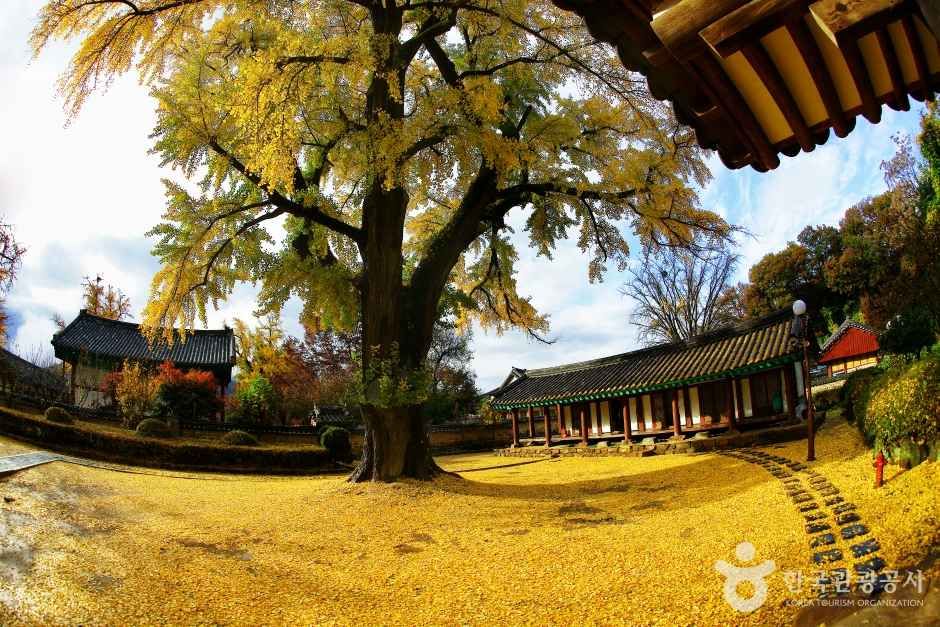 전주 한옥마을 - 전주 여행