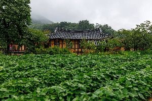 고성 왕곡마을