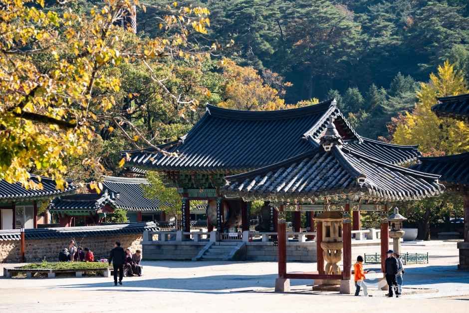 보은 법주사 관광사진