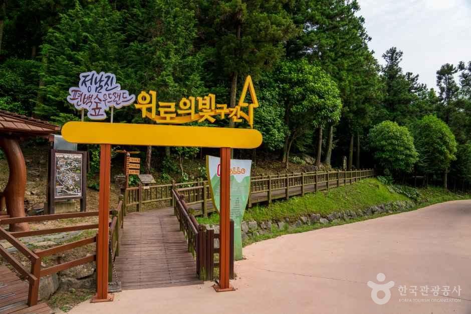 정남진 편백숲 우드랜드