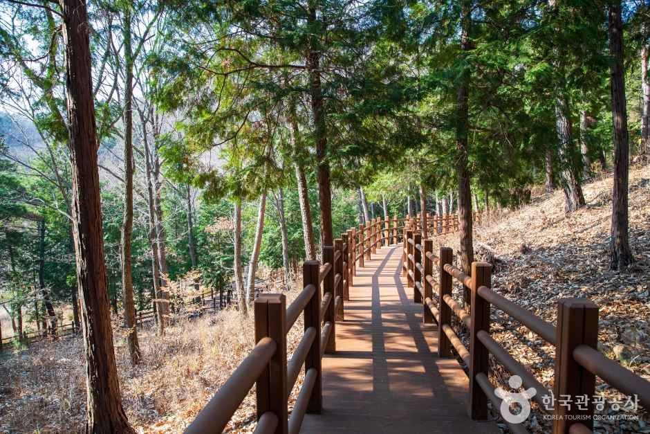 울산수목원