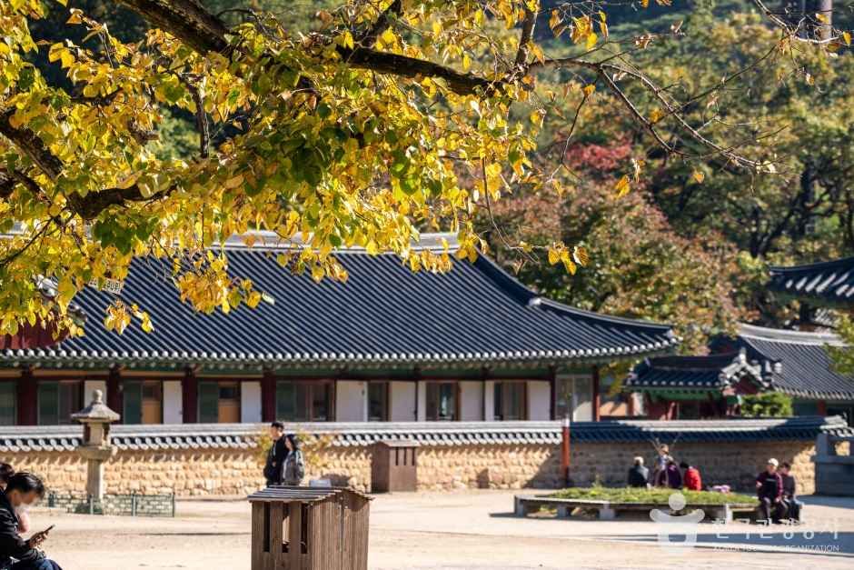 보은 법주사 관광사진