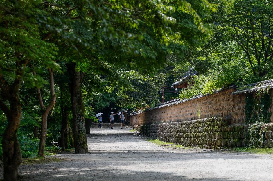 선운사(고창)