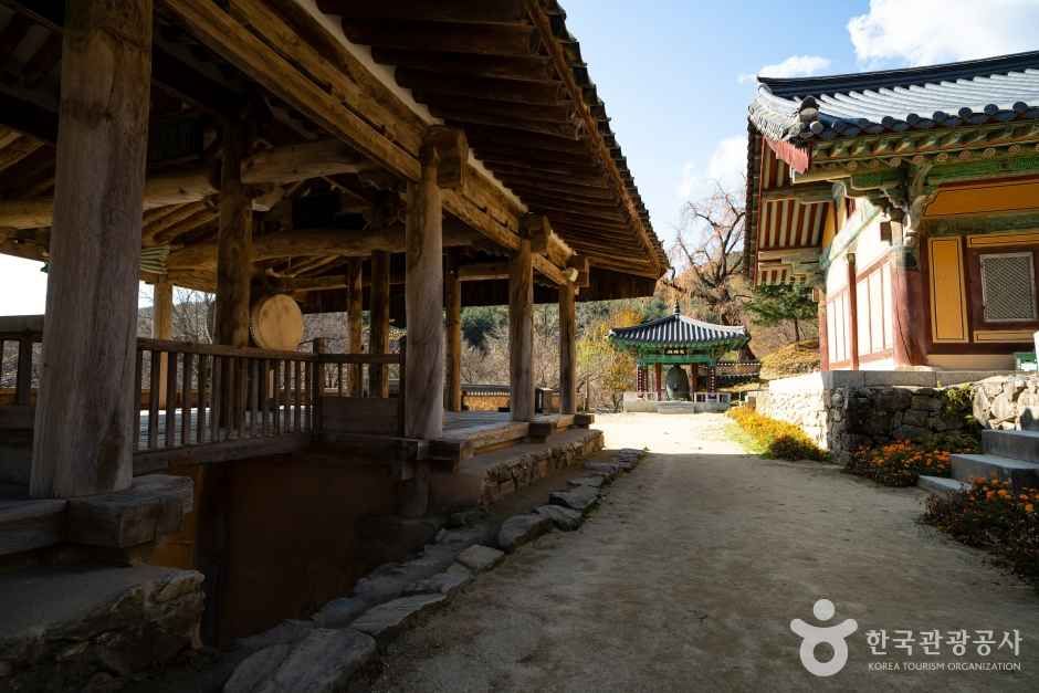 안동 봉정사 관광사진