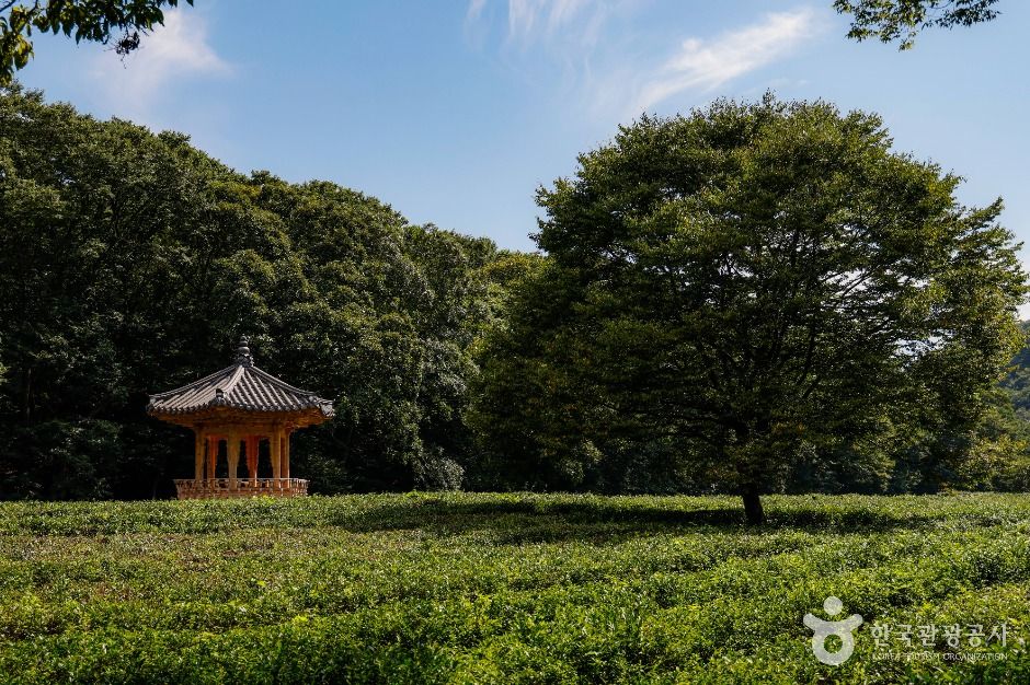 선운사(고창)