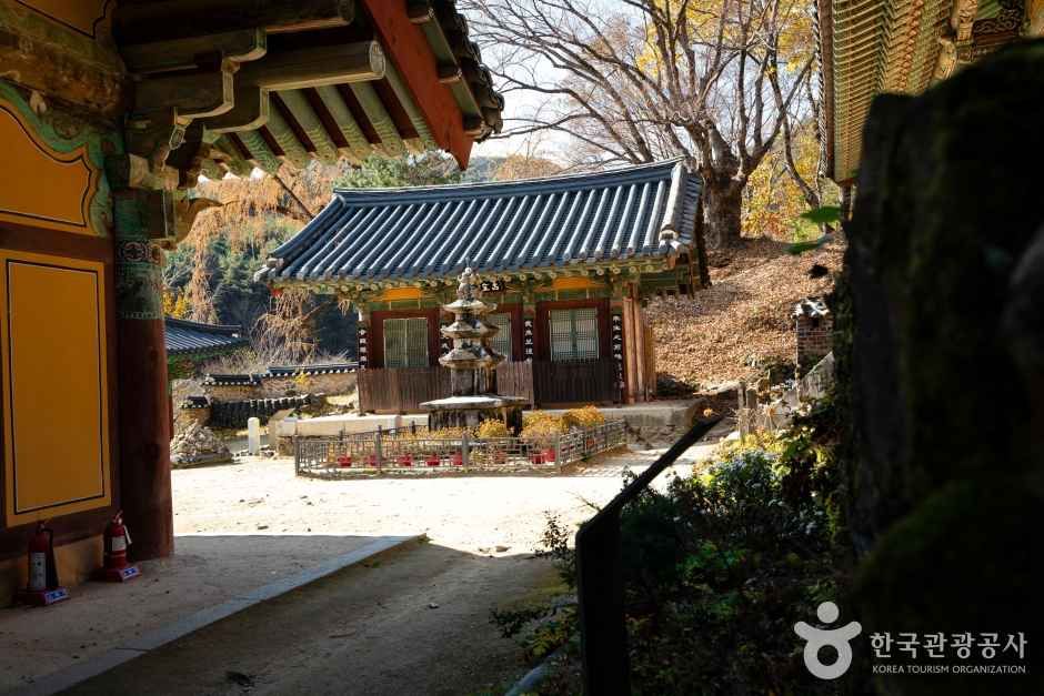 안동 봉정사 관광사진