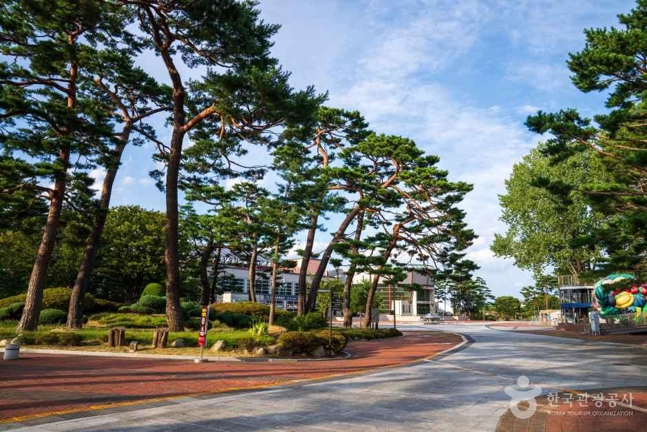 蔚珍王避川公园