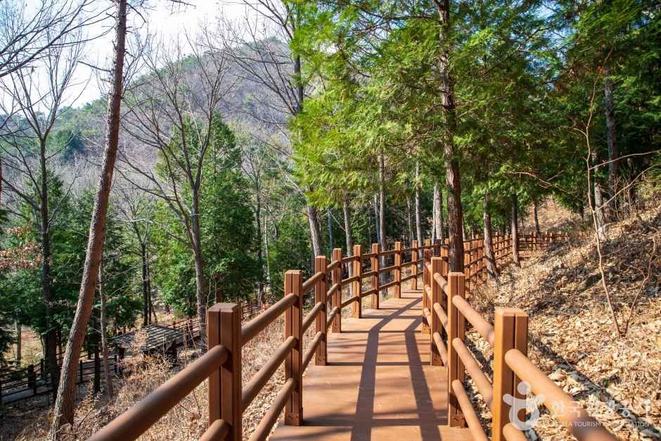 울산수목원