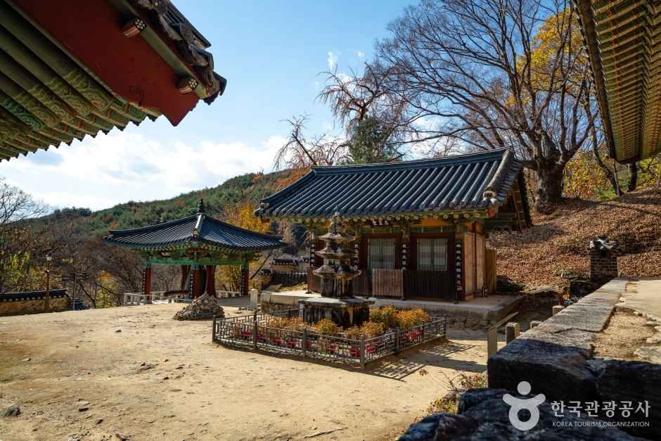 안동 봉정사 관광사진