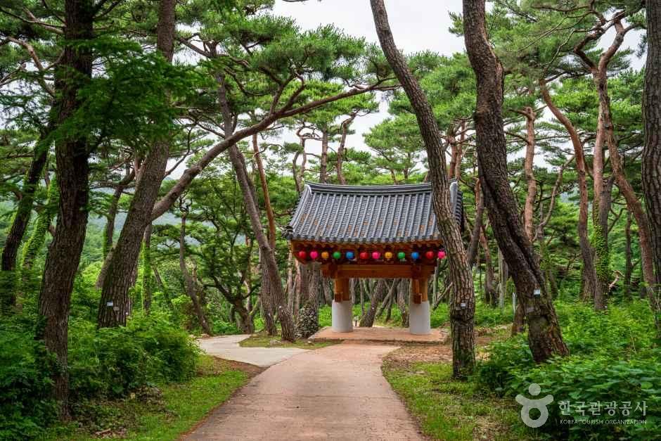 천년의 숲길 관광사진