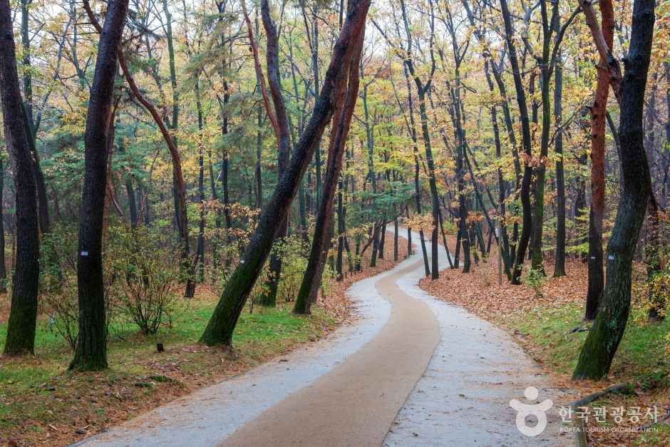 화성 융릉과 건릉 관광사진