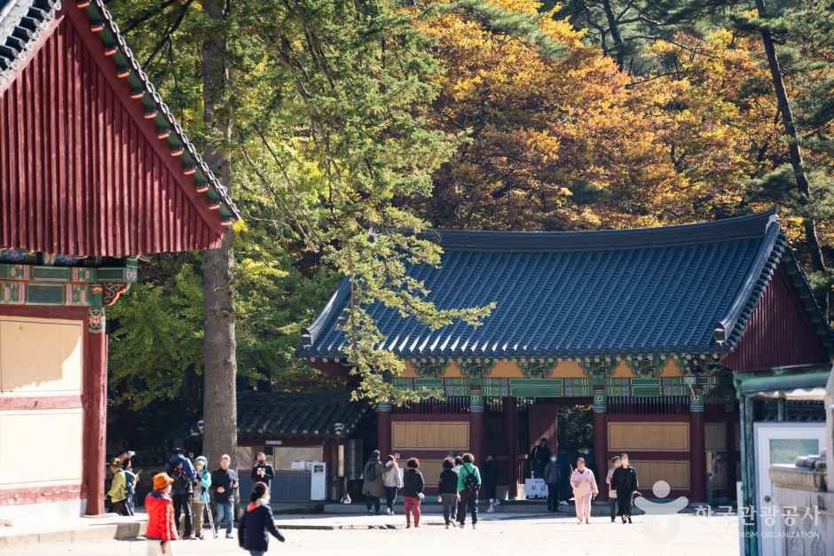 보은 법주사 관광사진