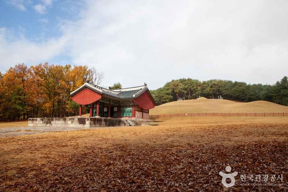 화성 융릉과 건릉 관광사진