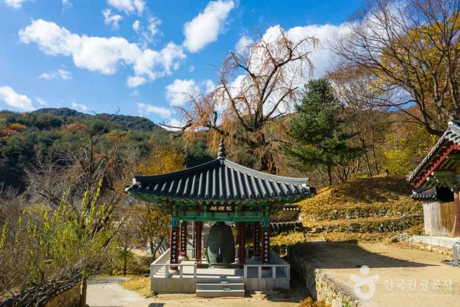 안동 봉정사 관광사진