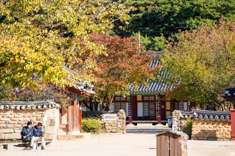 보은 법주사 관광사진