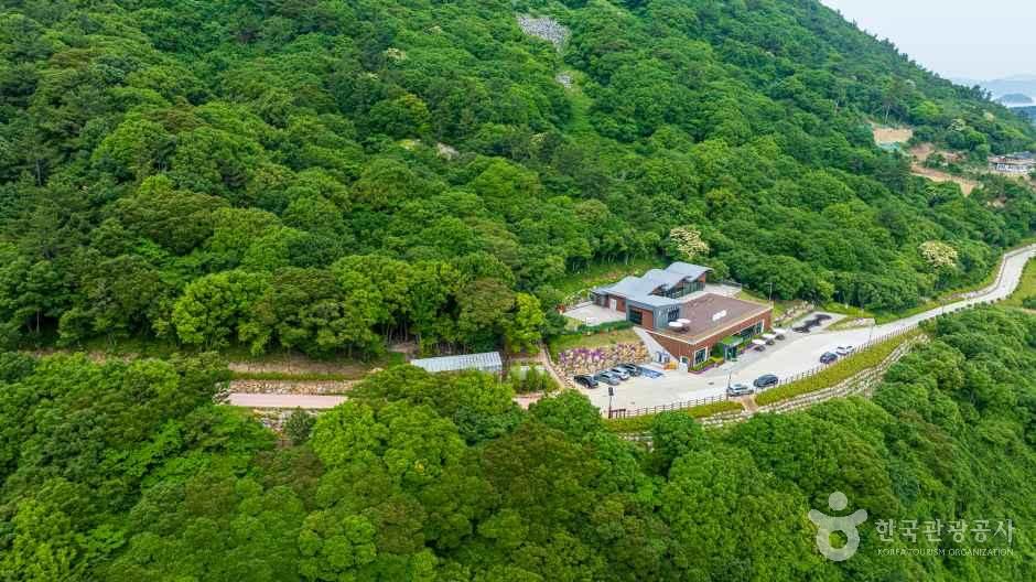 약산 해안 치유의 숲 - 전라남도 완도군 약산면 당목길 148-1 관광 명소