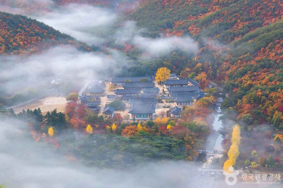 가을 산사 · 사진 박창록